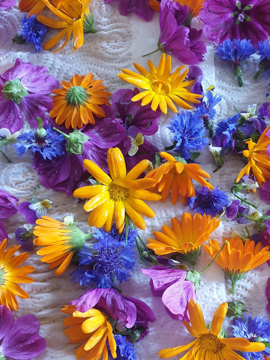 Edible Flowers - Nasturtium, Borage, Pansy, Cornflower, Calendula - from Sean Nua Farm, County Cavan