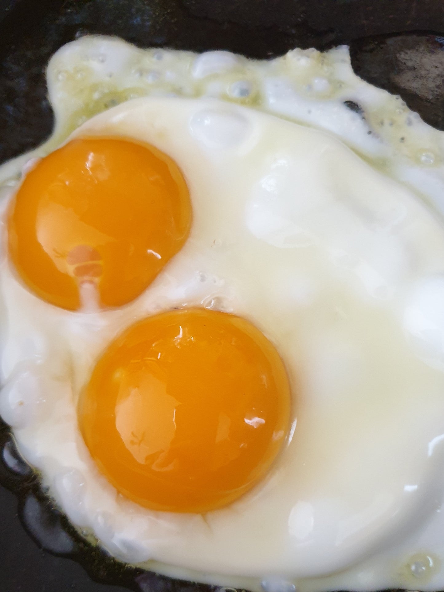 Pasture Raised Eggs - Organic Fed Hens from Sean Nua Farm, County Cavan