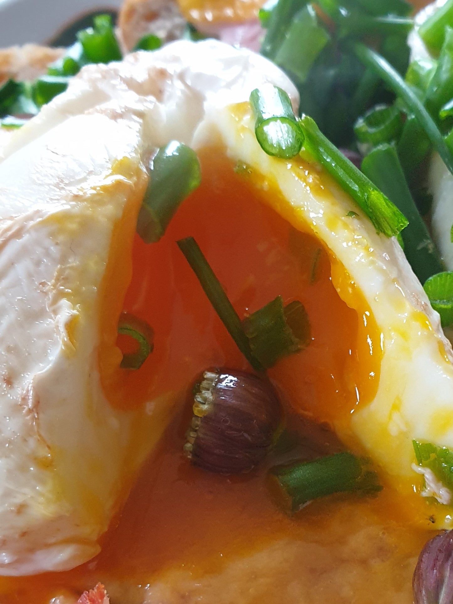 Pasture Raised Eggs From hens fed on GMO & chemical free feed