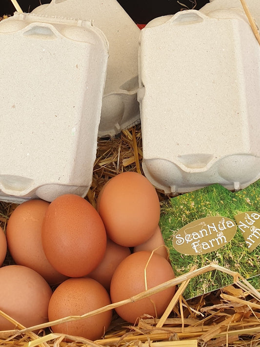 Half Dozen of Pasture Raised Eggs - Organic Fed Hens (6 eggs) from Sean Nua Farm, County Cavan